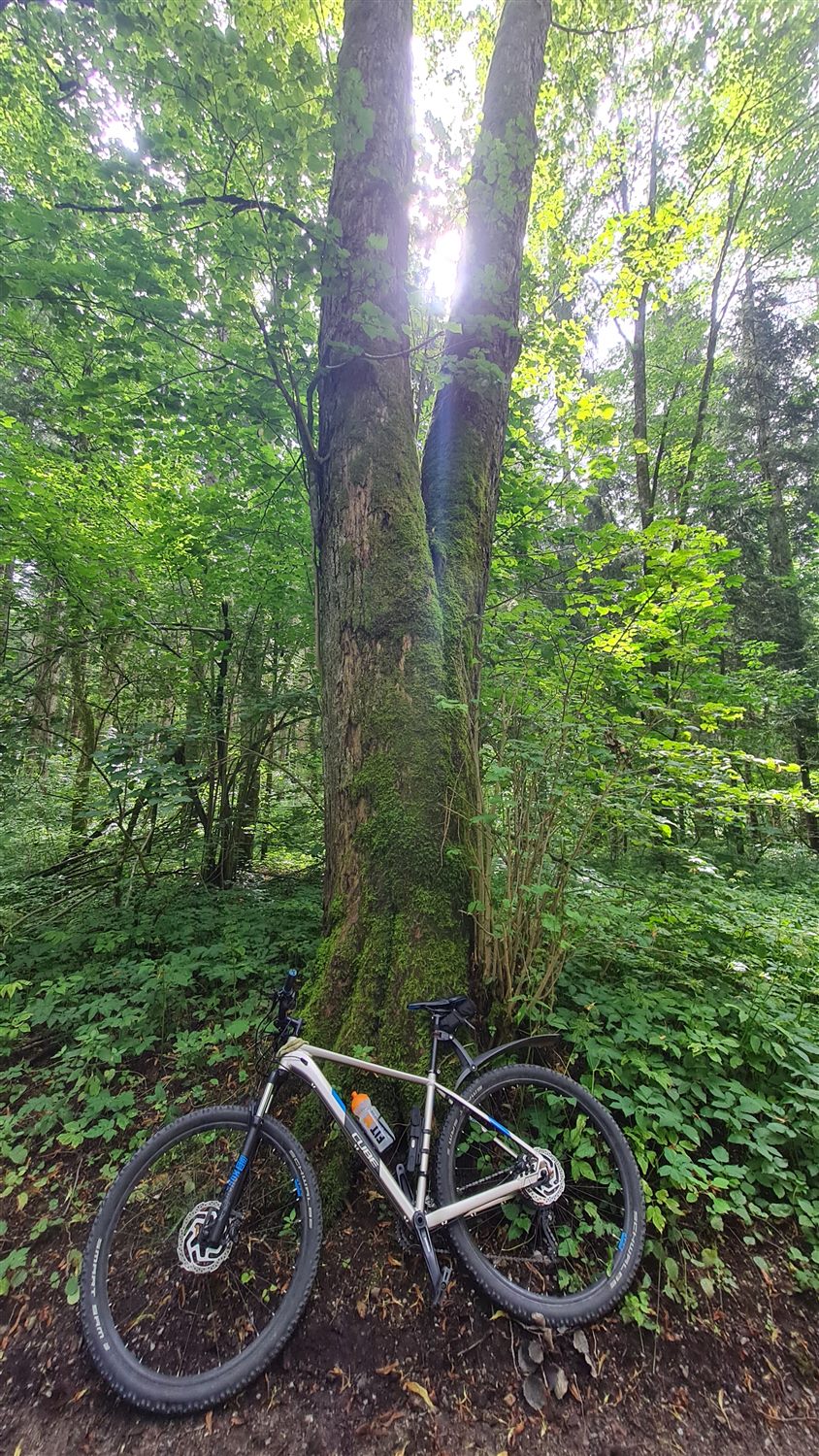 Impression von der letzten Radtour nach Hintertux